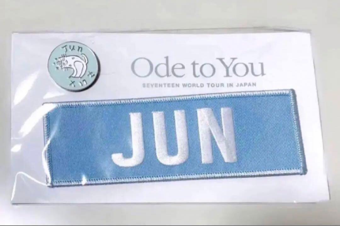 K-POP・アジア SEVENTEEN 2019 Ode to You in JAPAN hqdefault.jpg