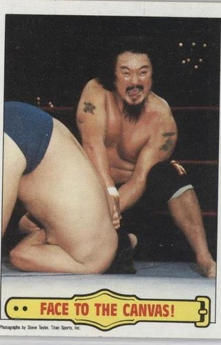 1985 Topps WWF - Mr. Fuji #43