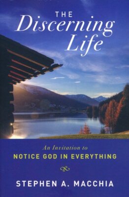 The Discerning Life: An Invitation to Notice God in Everything - Stephen Macchia