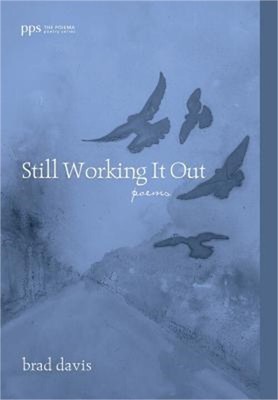 Still Working It Out (Hardback or Cased Book)