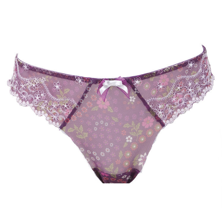 Nylon Panties for Women