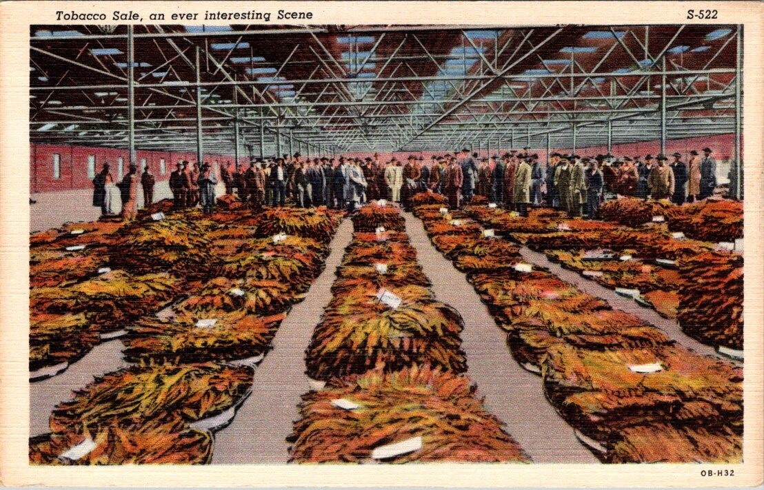 Tobacco Sale An Ever Interesting Scene Vintage Linen Postcard S-522 Unposted