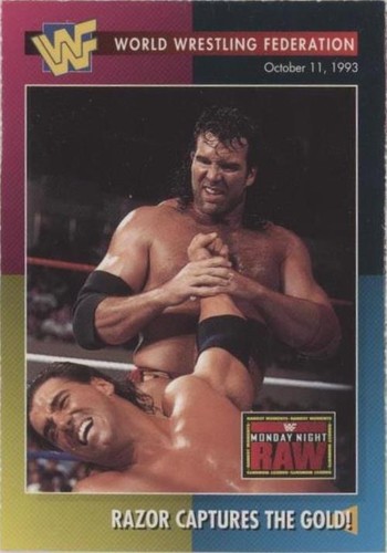 1995 WWF Magazine Cards - Scott Hall #88