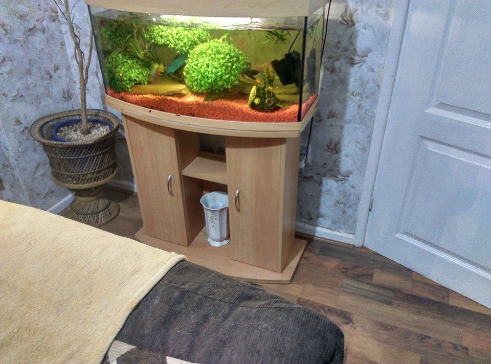 Tropical Fish tank set up for sale (3ft 142ltr) in Bolton, Manchester