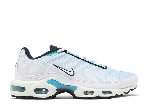 Nike Air Max Plus Tiempo 27cm 即購入ok NIKE WMNS AIR MAX PLUS TIEMPO 