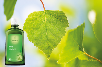 Weleda Birken Cellulite Öl, Anti Cellulite Creme, strafft die Haut, 200ml