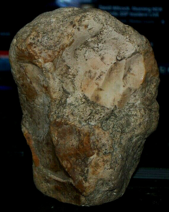 Authentic multi use hand tool with documentation Paleolithic Prehistory