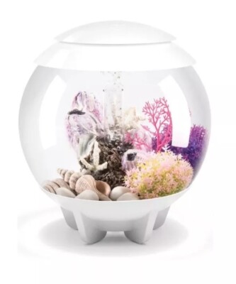 biOrb Halo 15 Acrylic 4-Gallon Aquarium with Multi-Color Remote-Controlled LE...