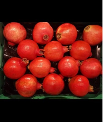 GRANADO rica FRUTA   punica granatum  100 Semillas - seeds