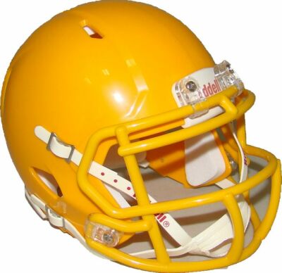 Riddell ゴールド ヘルメット $_1.JPG?set_id=880000500F