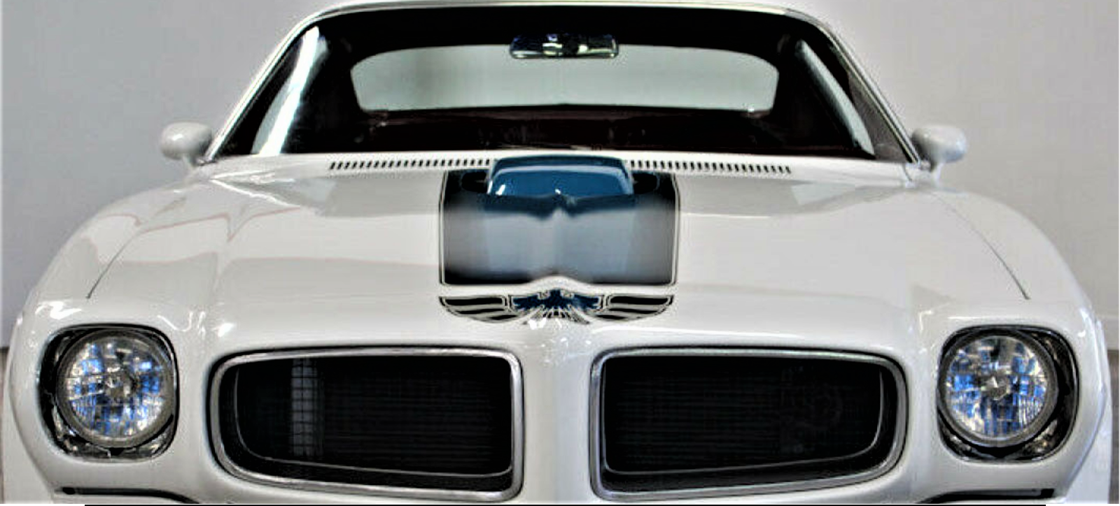 1 Pontiac Firebird Trans Am Race Car 12 Custom Built Model