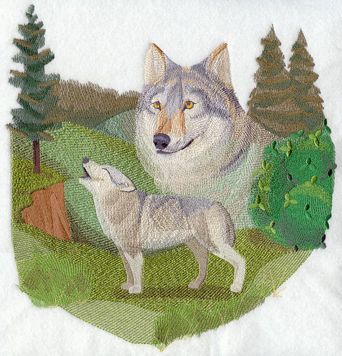 J wolf. J wolf e j kohi del.