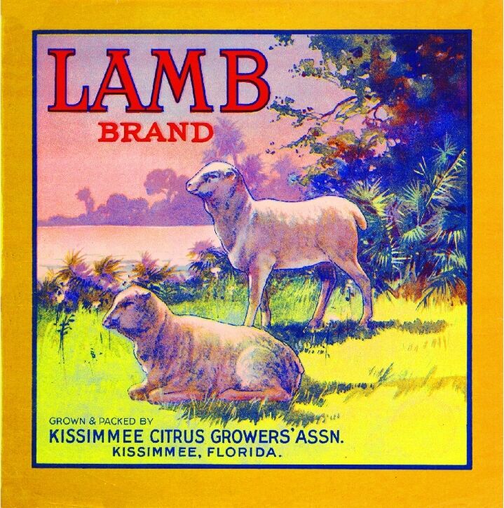 Kissimmee Florida Lamb Sheep Orange Citrus Fruit Crate Label Vintage Art Print