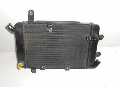Radiatore Suzuki Burgman 250 400 1998   2000 - Radiator
