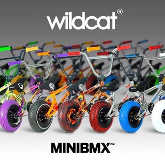wildcat mini bikes
