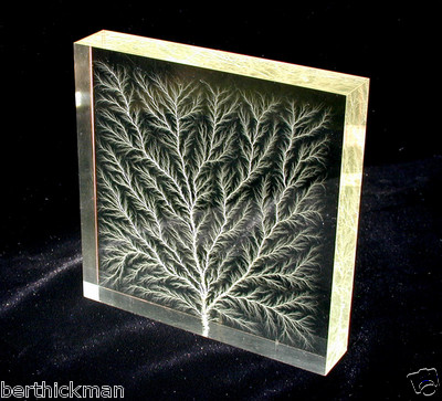 4" x 4" x 3/4" Captured Lightning Edge Lichtenberg Figure Beam Tree Sculpture