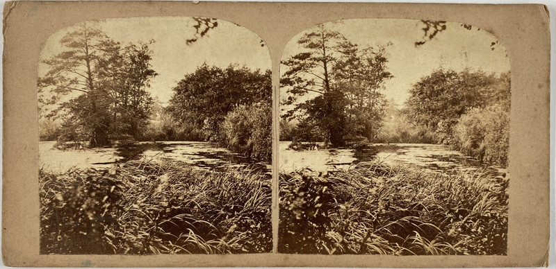 France, Paris, Parc Vintage Stereo Card, Louchet, Ingr. Opticien Tirage Albu