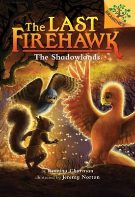 The Shadowlands : A Branches Book Hardcover Katrina Charman