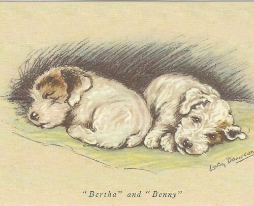 Sealyham Terrier Puppy - CUSTOM MATTED - Dog Art Print - Lucy Dawson