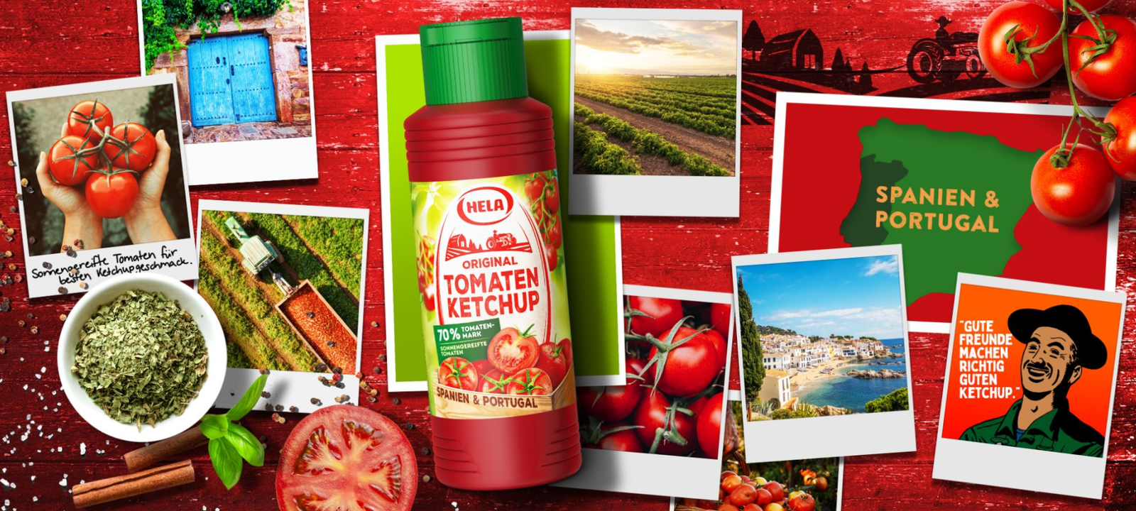 6 x Hela Ketchup Tomate mild Gewürzketchup 800 ml Flasche Ketchupflasche - Bild 5 von 7