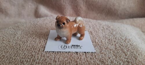 LITTLE CRITTERZ Dog Chow Chow "Pinyin" Miniature Figurine New FREE SHIP LC819