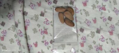 Photos de l'objet d'un acheteur vérifié