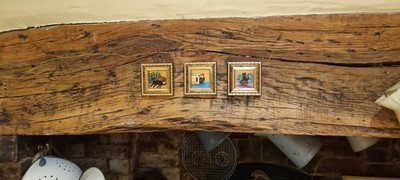 Artikelfoto(s) von einem verifizierten Käufer