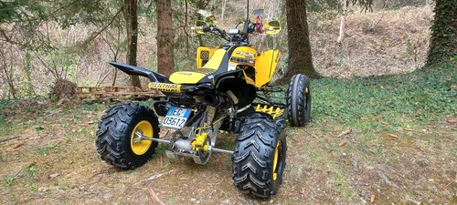 Foto dell'oggetto di un acquirente verificato