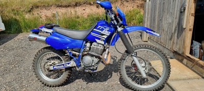 Honda ttr 250