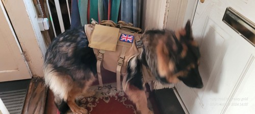 Fotos del artículo de un comprador verificado