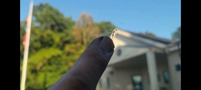 image 1 of other