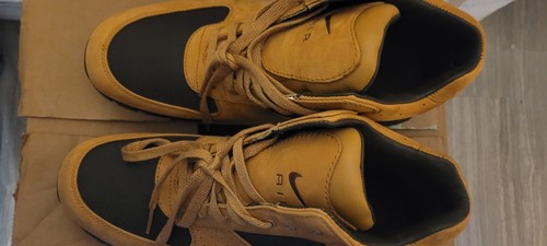 Pre-owned Nike Acg Goadome Boots 11 In Multicolor