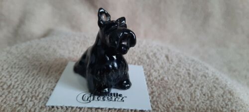LITTLE CRITTERZ Dog Scottish Terrier "Fala" Miniature Figurine New LC738