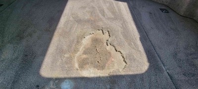 image 15 of interior