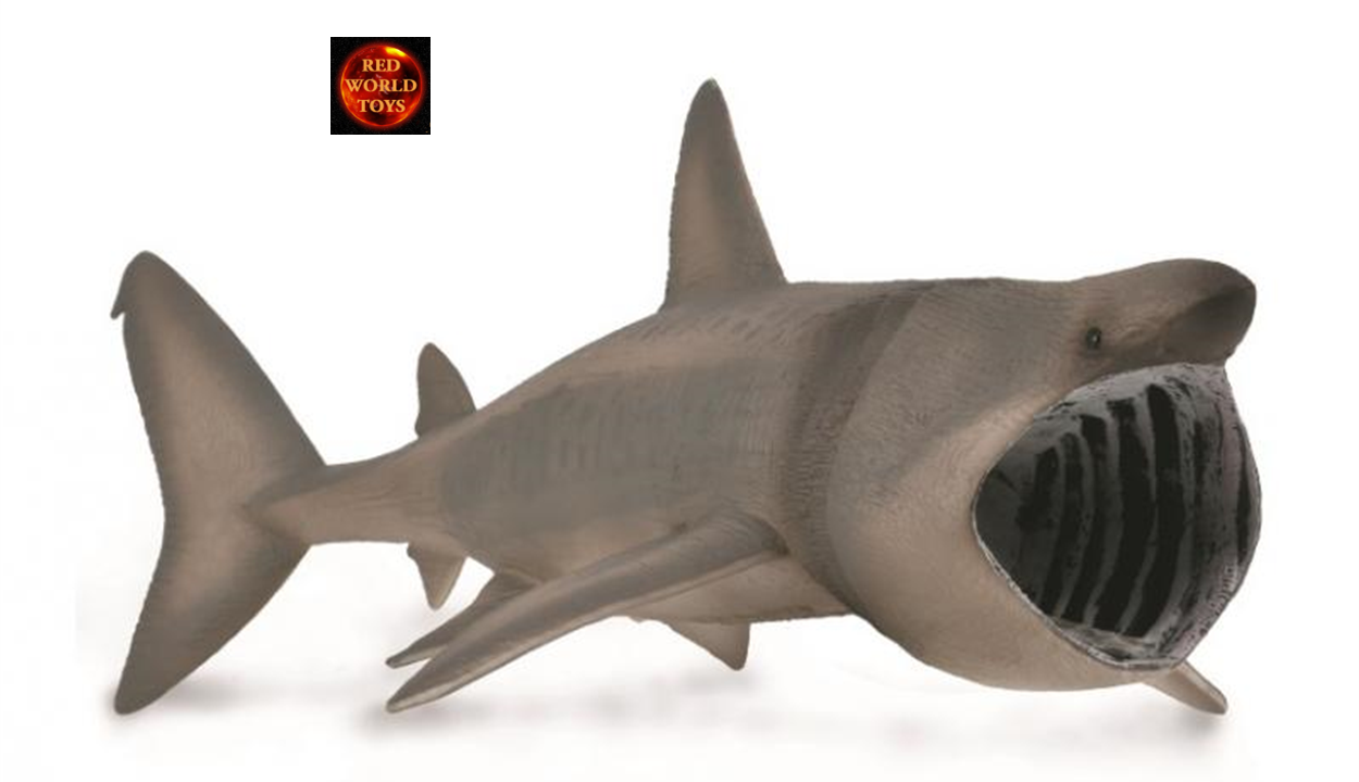 Basking Shark Marine Sealife Toy Model Figure by CollectA