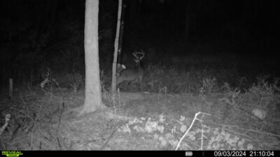 經驗證買家提供的物品圖片