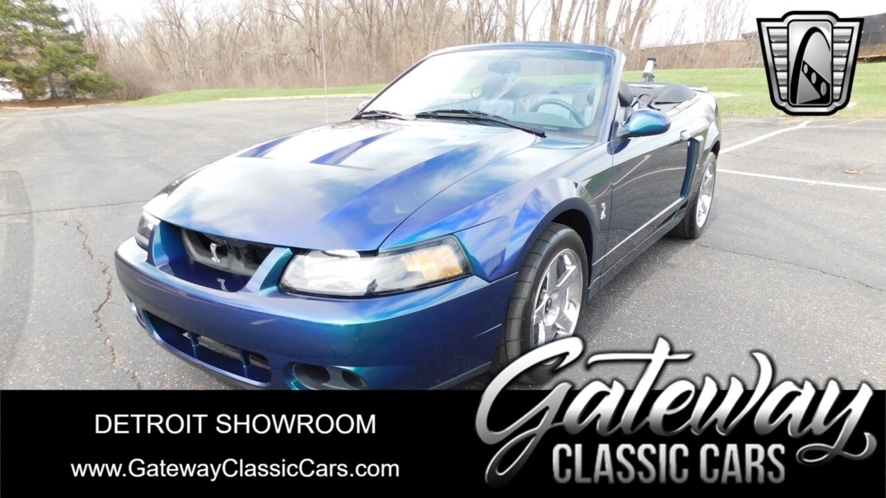 Mystichrome 2004 Ford Mustang  4.6L Supercharged V8 Manual Available Now!