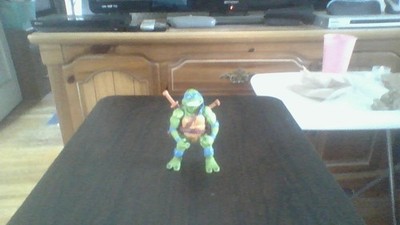 Photos de l'objet d'un acheteur vérifié