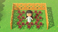 Animal Crossing New Horizons ACNH - 39 Full Grown Red Pansies | eBay