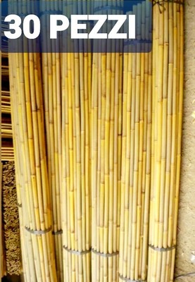 Canne bambu per orto prezzi