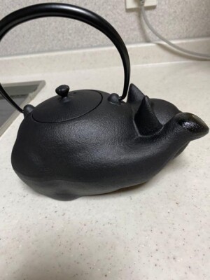 Oigen Cast Iron Teapot ''Black Cat'' 0.85L   Featured in MoMA Catalog Artisan JPN