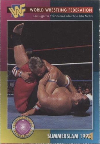 MAY 1995 WWF WRESTLING MAGAZINE LEX LUGER MICHAEL JORDAN