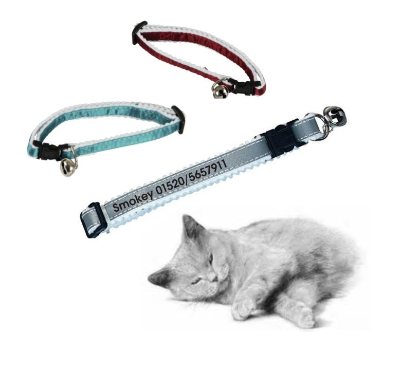 Katzenhalsband in 3 verschiedenen Farben, bedruckt mit Namen & Telefon-Nummer