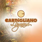 cardiglianolegnami-it