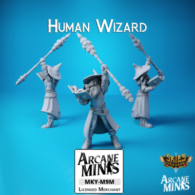 D&D Miniature Human Wizard Dungeons and Dragons Pointy Hat
