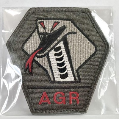 Air Self-Defense Force Komatsu Base Cobra Agr Flight Instruction Group Aggressor