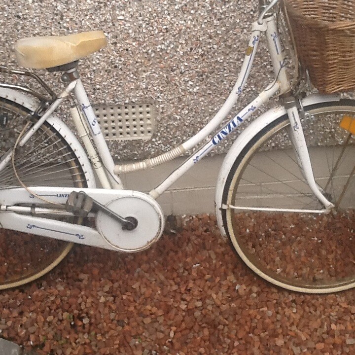 ladies cycle cycle