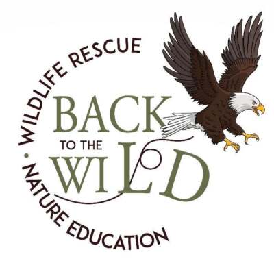 BACK TO THE WILD