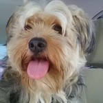 engelchenmeetsteufelchen333