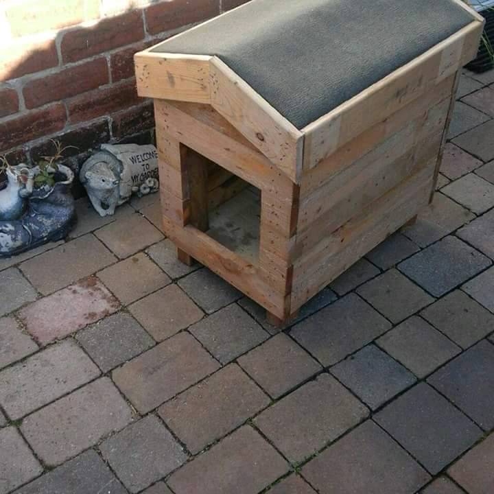 New small cat or dog kennel in Durham, County Durham Gumtree